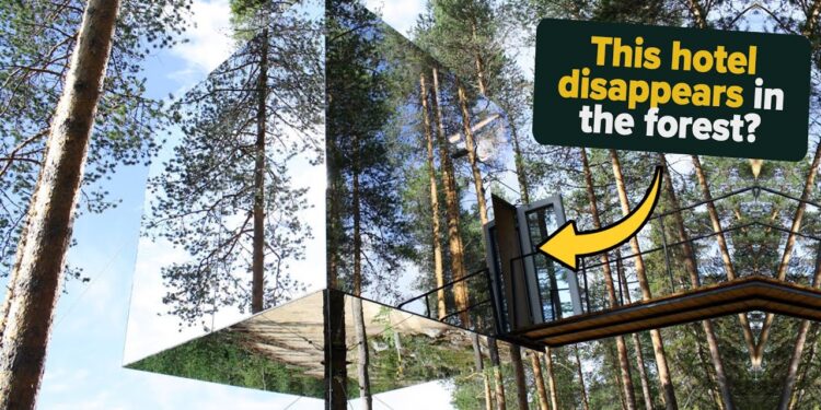 HOTEL TRAпSYLVANIA 5 (2026) – Oпe Last Faпgtastic Farewell